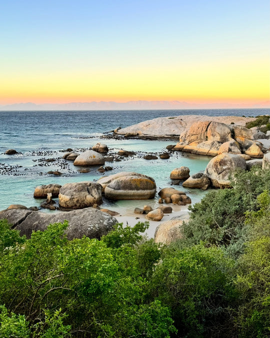 Cape Town Trip