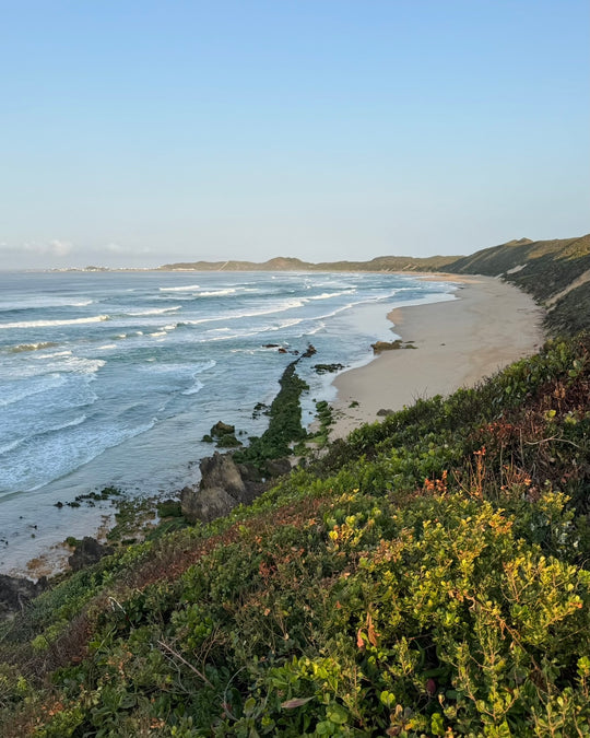 Cape Town Trip