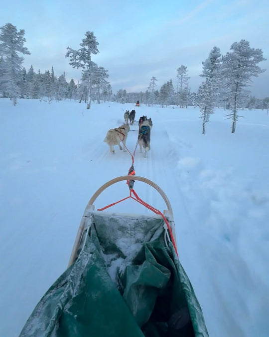 Finland Trip