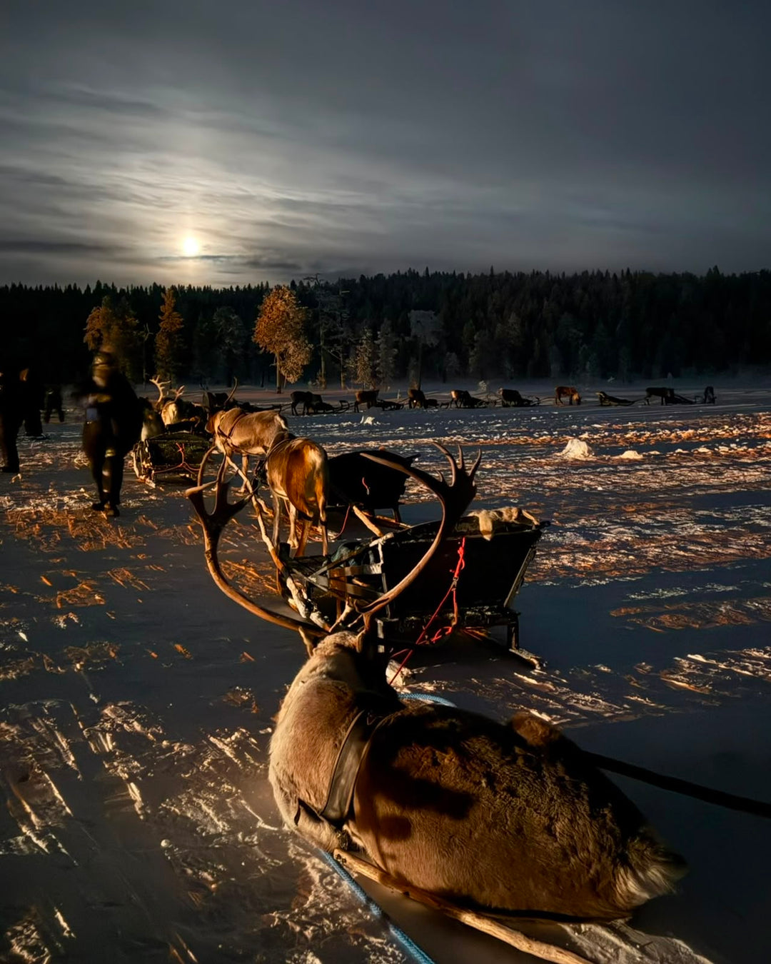 Finland Trip